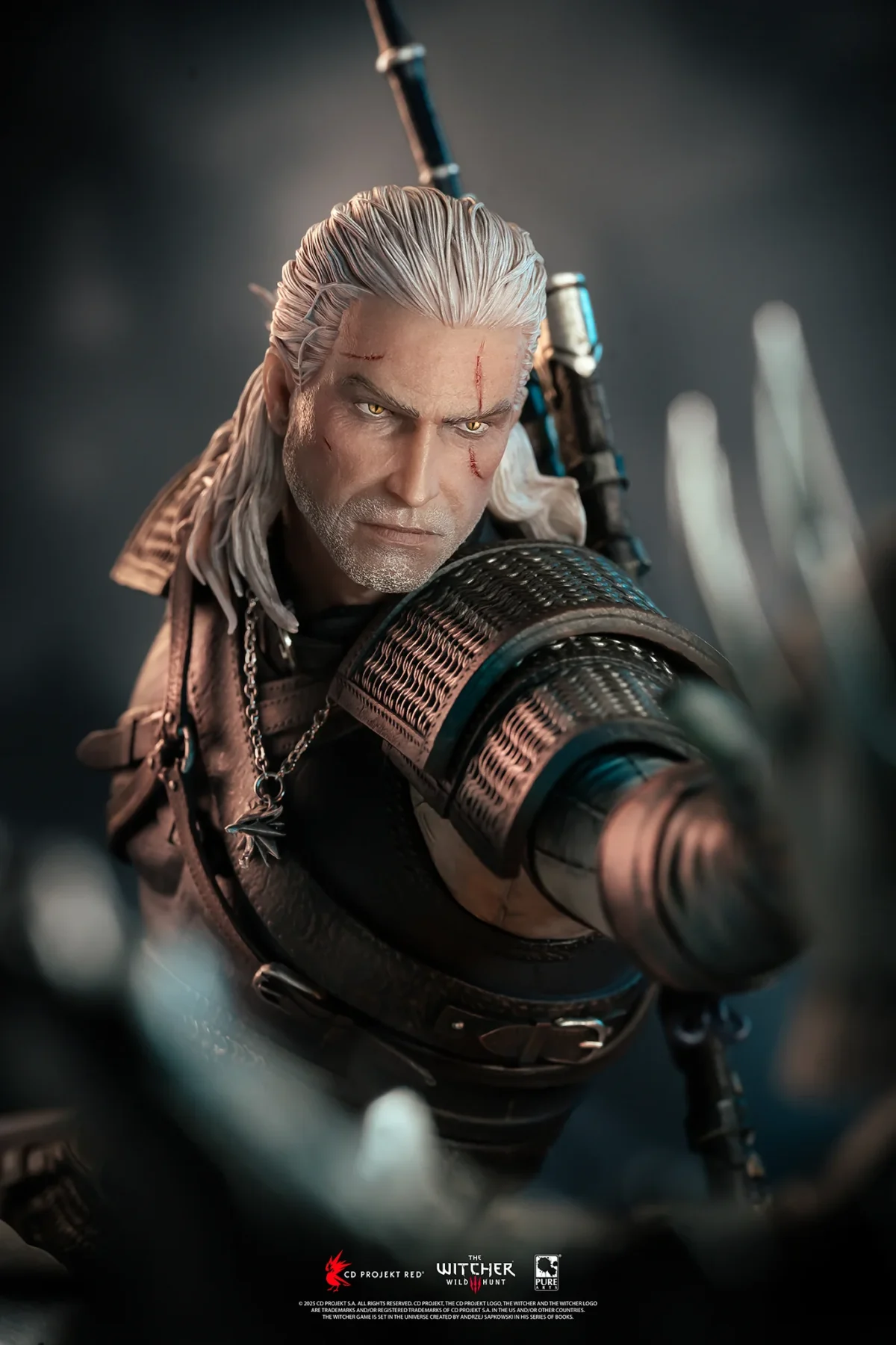Purearts Promo Witcher D 018.jpg