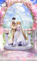 cat tail sailor moon usagi mamoru boda 164