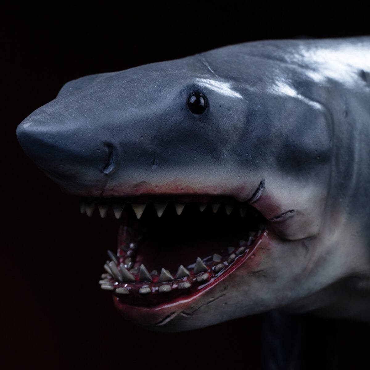 Jaws Close5 1 10