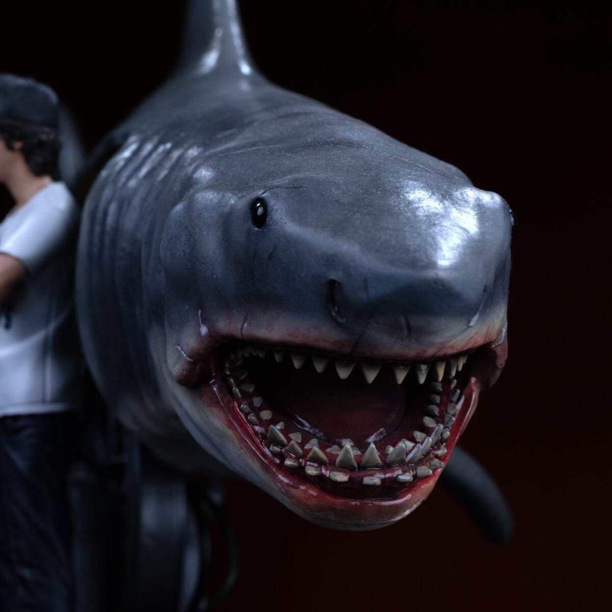 Jaws Close6 1 10