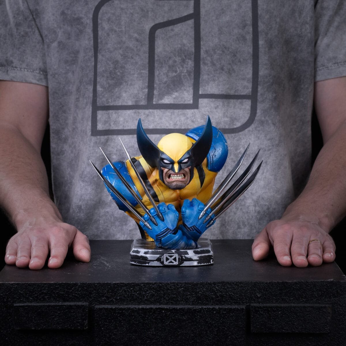 Wolverine Measures2 1 4