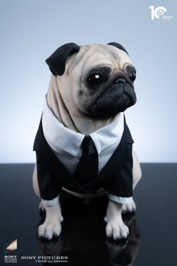 微信图片 20251224180036 416 323