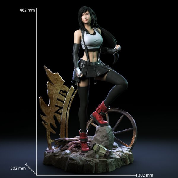 Tifa 2 Dimensions