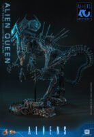 Hot Toys - Aliens - Alien Queen (MMS903)