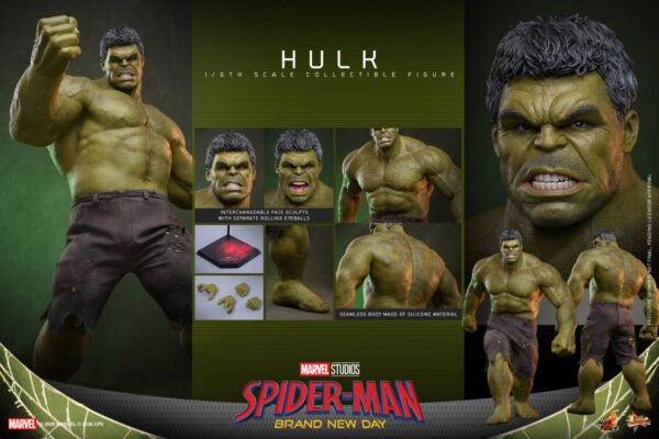 Hot Toys - Marvel Movies - Spider-Man: Brand New Day - Hulk (MMS905) - Image 2
