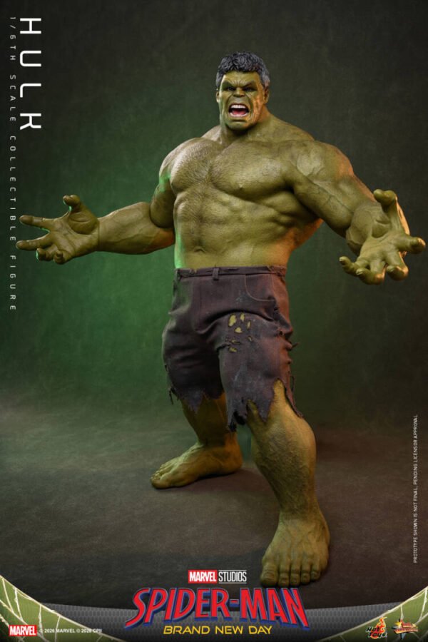 Hot Toys - Marvel Movies - Spider-Man: Brand New Day - Hulk (MMS905) - Image 3