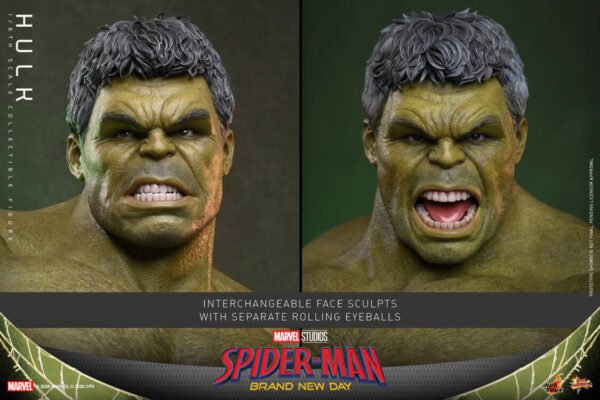 Hot Toys - Marvel Movies - Spider-Man: Brand New Day - Hulk (MMS905) - Image 8
