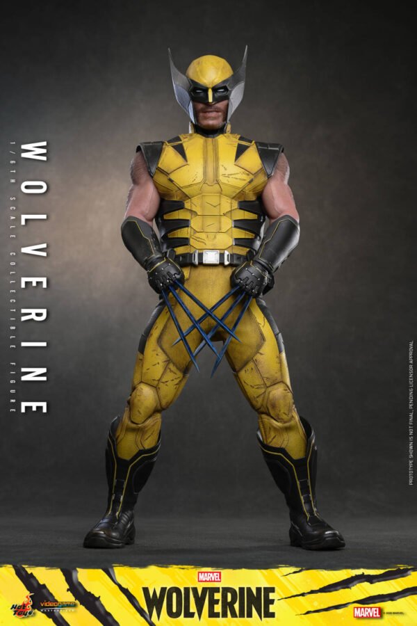 Hot Toys - Marvel Wolverine - Wolverine (VGM91)