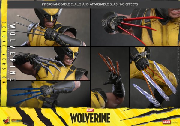 Hot Toys - Marvel Wolverine - Wolverine Deluxe (VGM92) - Image 9