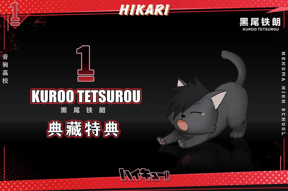 Hikari Studio - Haikyuu - Tetsuro Kuroo - Imagen 7