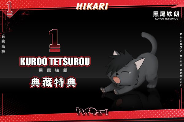 Hikari Studio - Haikyuu - Tetsuro Kuroo - Imagen 7