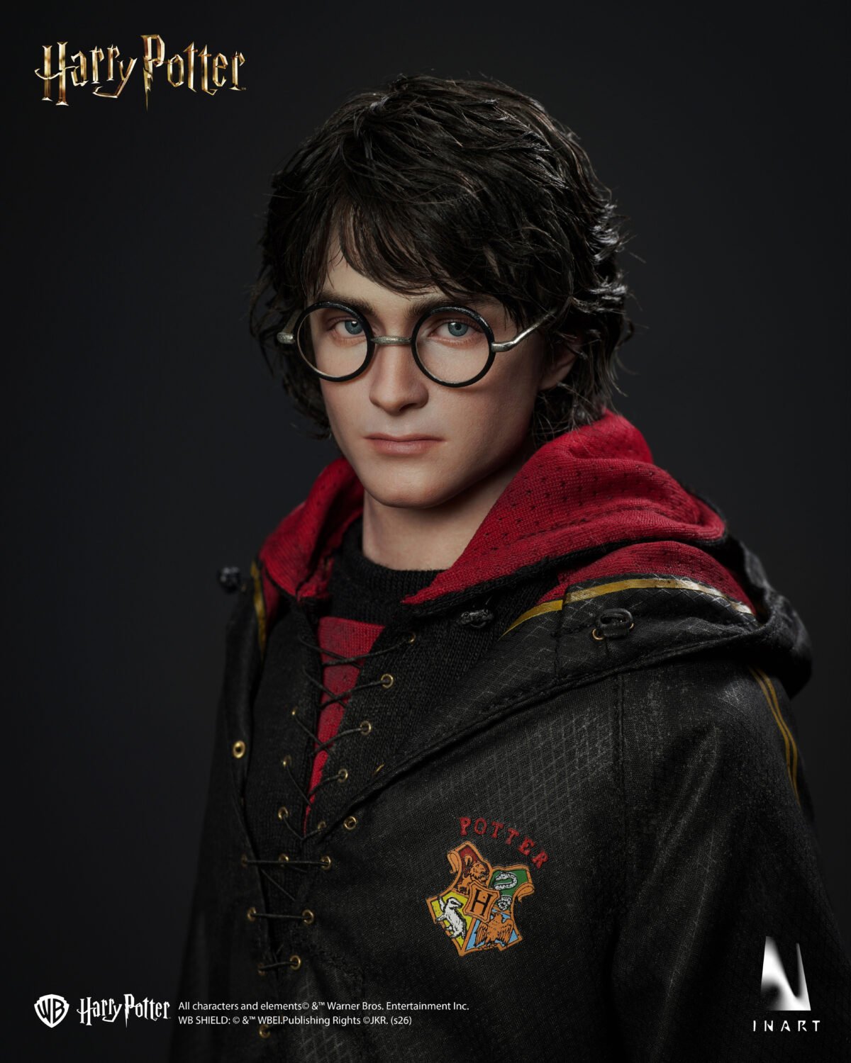 InArt - Harry Potter and the Globet of Fire - Harry Potter - Imagen 3