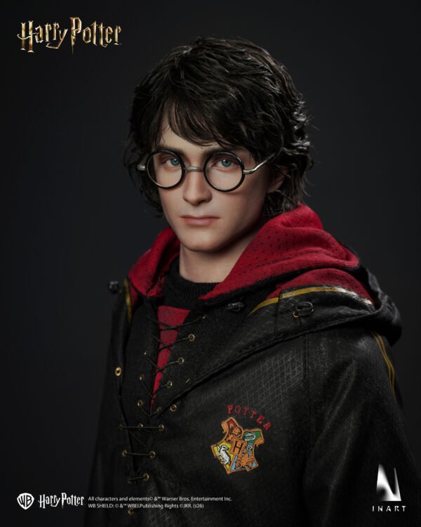 InArt - Harry Potter and the Globet of Fire - Harry Potter - Imagen 3