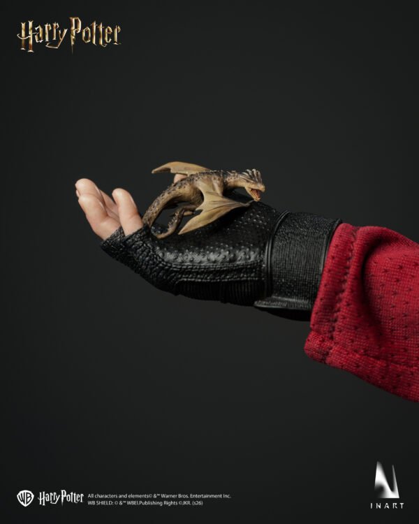 InArt - Harry Potter and the Globet of Fire - Harry Potter - Imagen 21