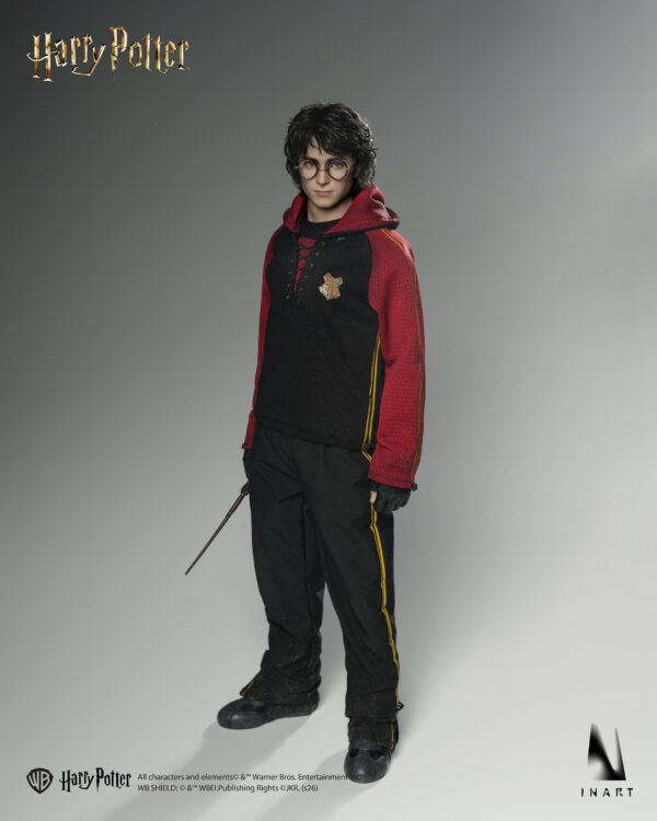 InArt - Harry Potter and the Globet of Fire - Harry Potter - Imagen 10