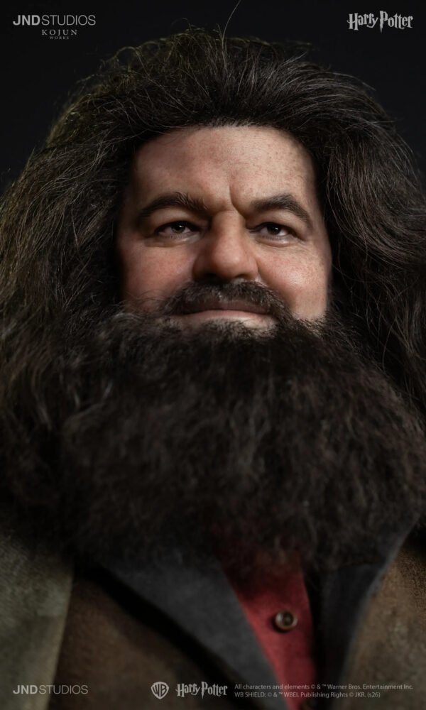 JND - Harry Potter - Rubeus Hagrid - Imagen 4