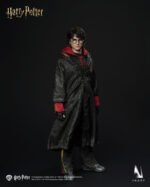 InArt - Harry Potter and the Globet of Fire - Harry Potter