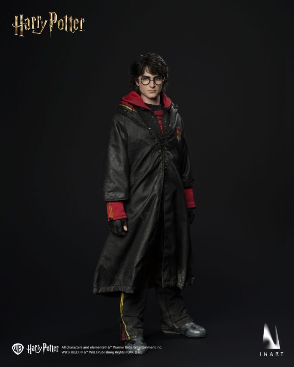 InArt - Harry Potter and the Globet of Fire - Harry Potter