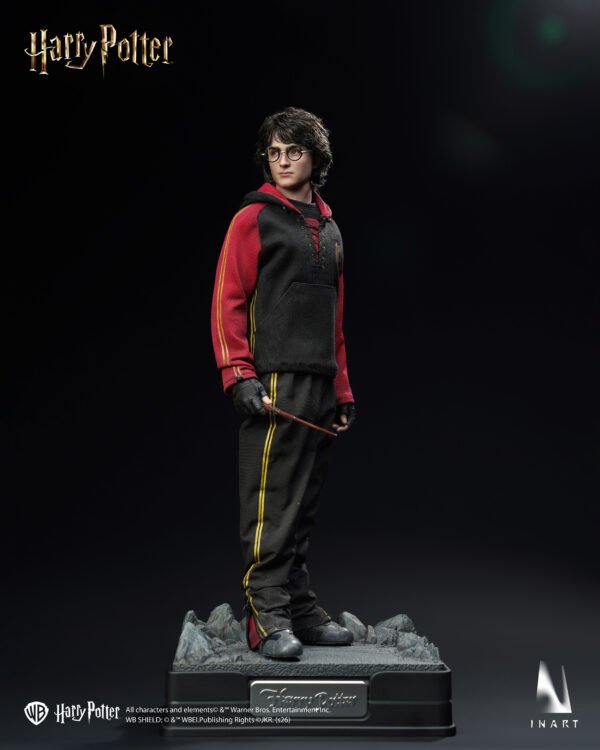 InArt - Harry Potter and the Globet of Fire - Harry Potter - Imagen 15